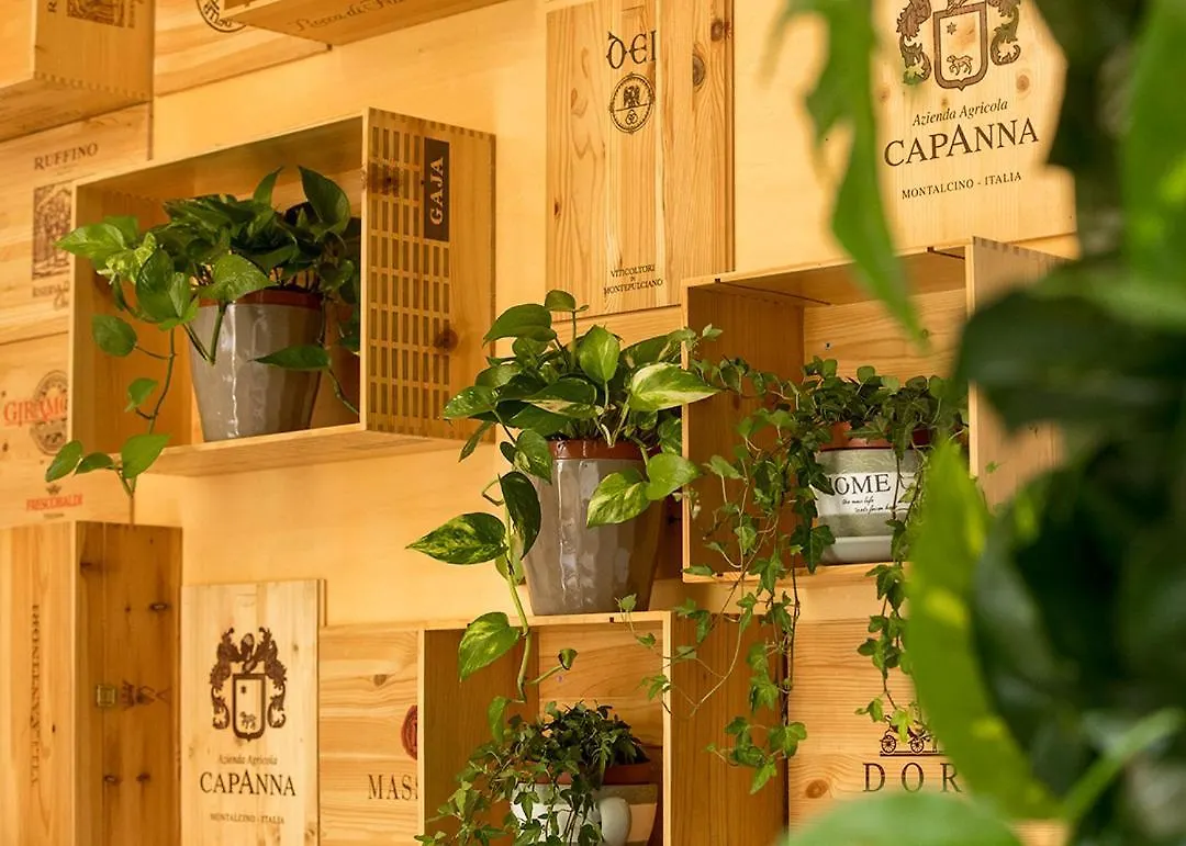 Guest house Salus Inn Rome Italy